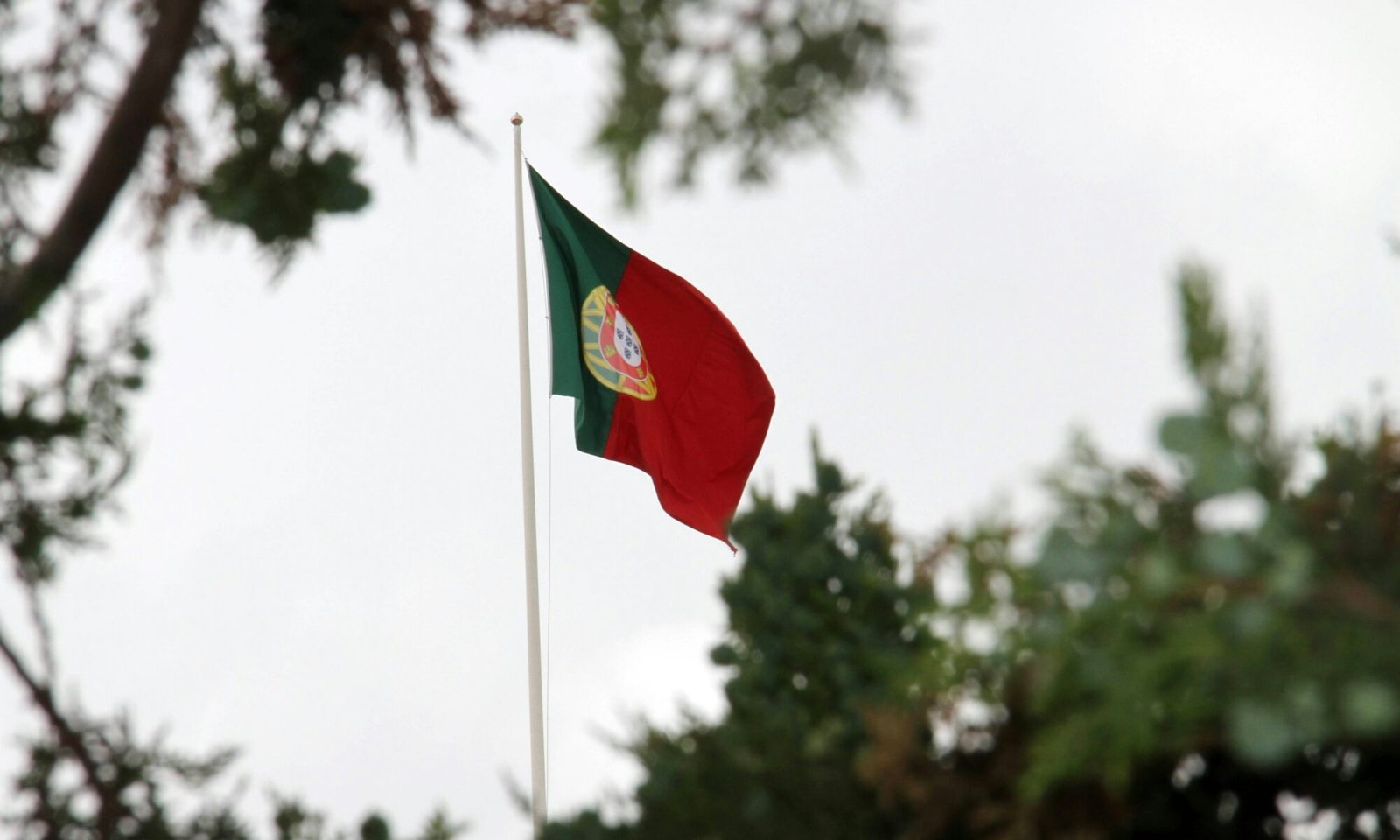 processo de cidadania portuguesa negado
